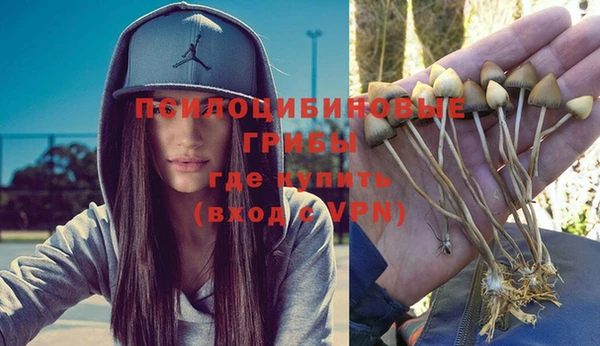 jwh Алзамай
